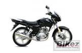 AJS Eco