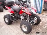 ARCTIC CAT DVX