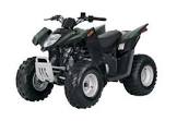 ARCTIC CAT DVX