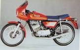 BENELLI 250