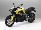 BMW K 1300 R Dynamic
