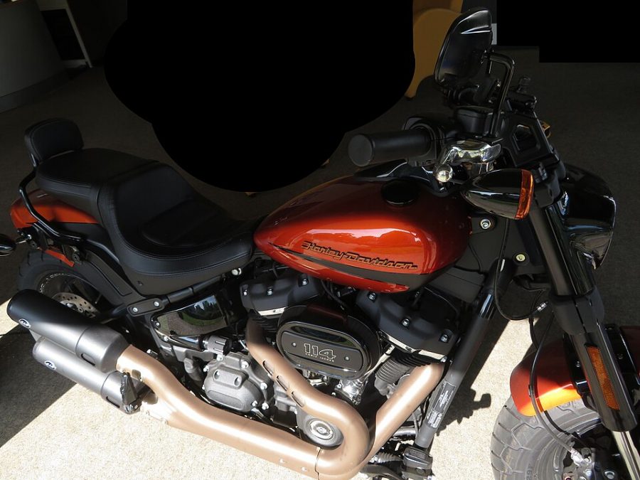 HARLEY DAVIDSON Fat Bob