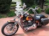 HARLEY DAVIDSON Softail Custom 105th Anniversary Custom
