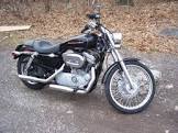 HARLEY DAVIDSON Sportster 883 Low