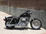 HARLEY DAVIDSON Sportster 883R