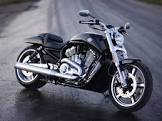 HARLEY DAVIDSON VRSC X