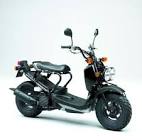 HONDA RUCKUS