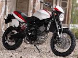 MOTO MORINI Scrambler