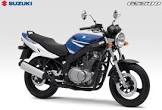 SUZUKI GS 500E