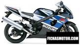 SUZUKI GSX-R 1000 Mladin Replica