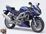 SUZUKI SV 1000S