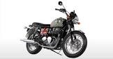 TRIUMPH Bonneville T100 Chequer