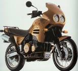 TRIUMPH Tiger 900