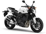 YAMAHA FZ 1 TE