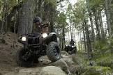 YAMAHA Grizzly 550 FI EPS Cam AP HD