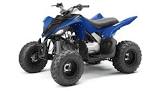 YAMAHA Raptor YFM90R