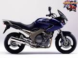 YAMAHA TDM 900