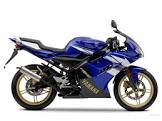 YAMAHA TZR