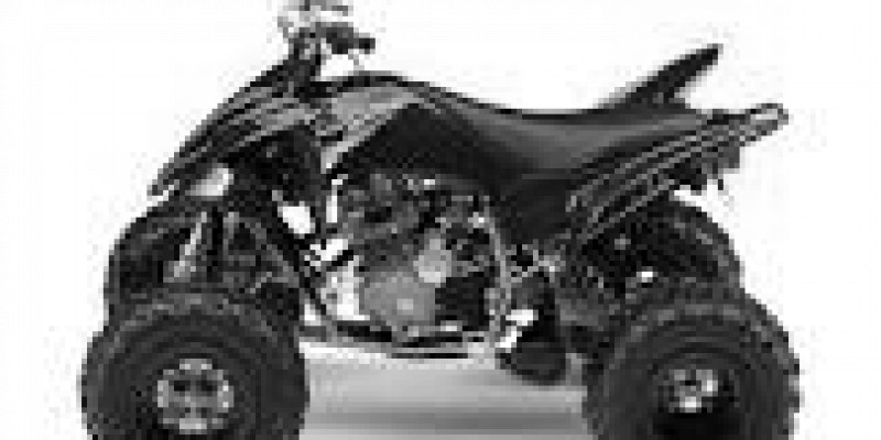 YAMAHA Raptor 2008 Raptor  250 VFM250R
